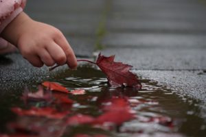 水たまりに落ちた紅葉