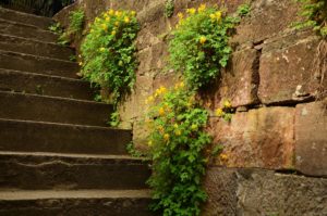 古い石の階段